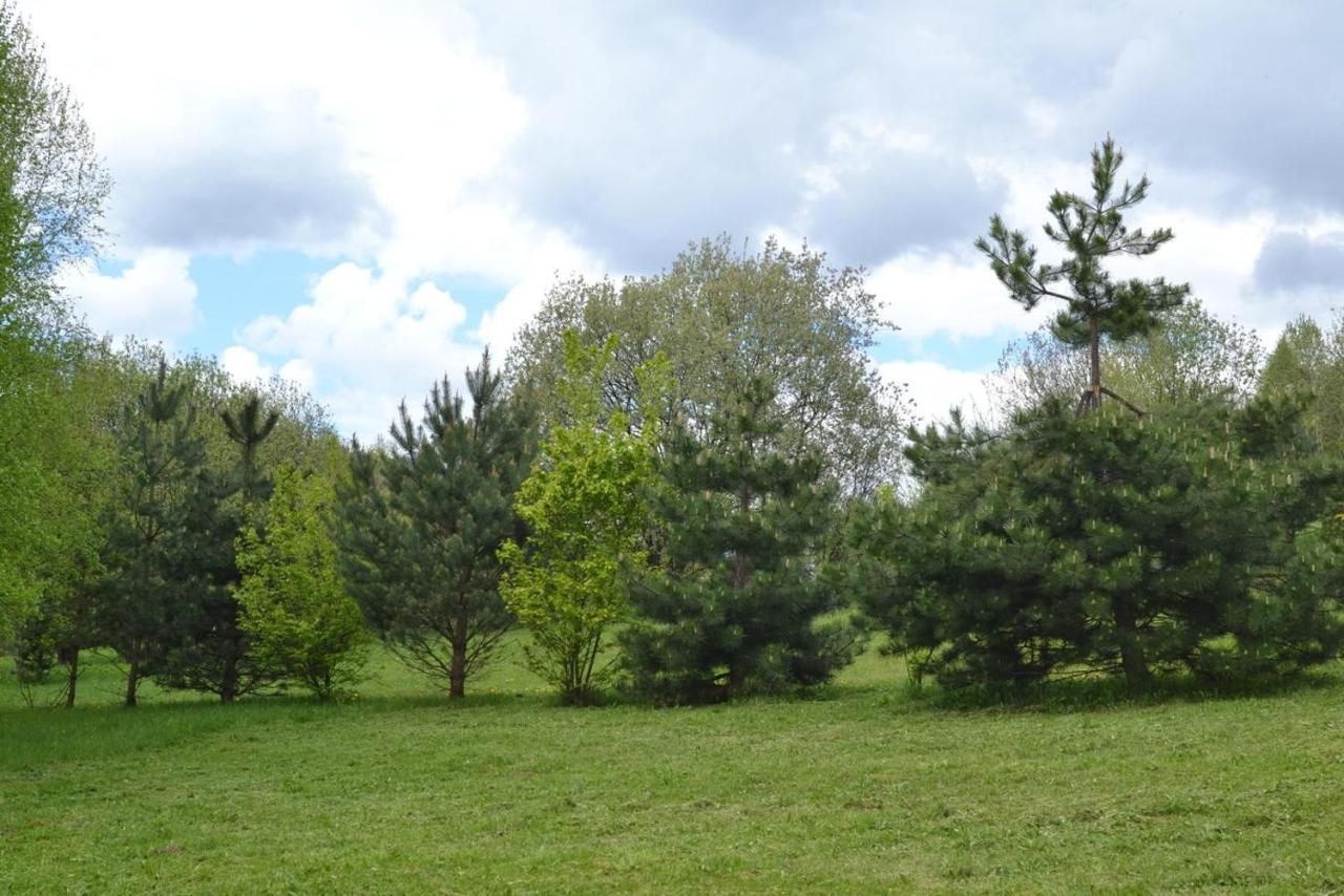 Chata Mioduszyna W Beskidach - Drewniany Dom Z Widokiem Na Babia Gore Villa Makow Podhalanski Exterior photo